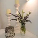 The Corfu Cocoon Apartment *