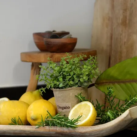 The Corfu Cocoon Appartamento Faiakes